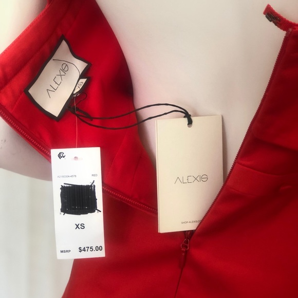 Alexis | Jodie Button Mini Flare Dress | XS - Picture 6 of 6